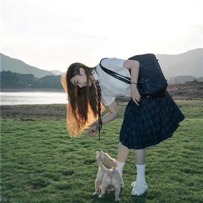 白蛇传情